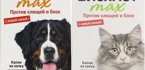Betekent Blohnet voor katten en honden: beoordelingen en instructies voor gebruik