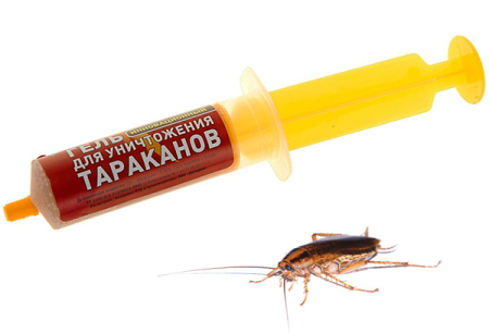 Remedies voor kakkerlakken in de spuit (gels): een overzicht van medicijnen en de nuances van hun gebruik